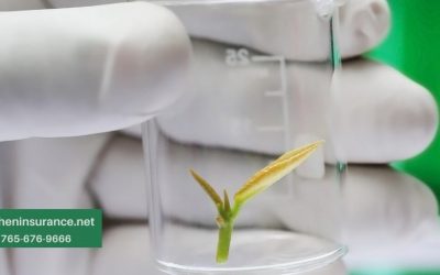 Crop Tissue Testing Can Save Your Farm